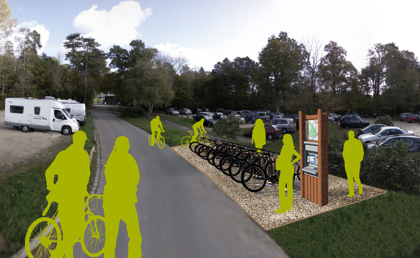 New Forest National Park cycling