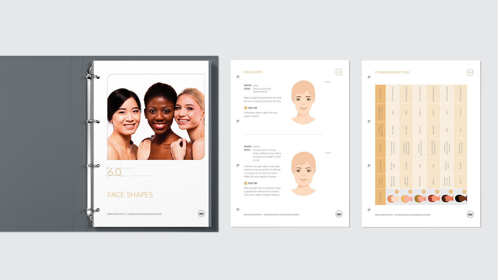 Brow Architects Training Manual